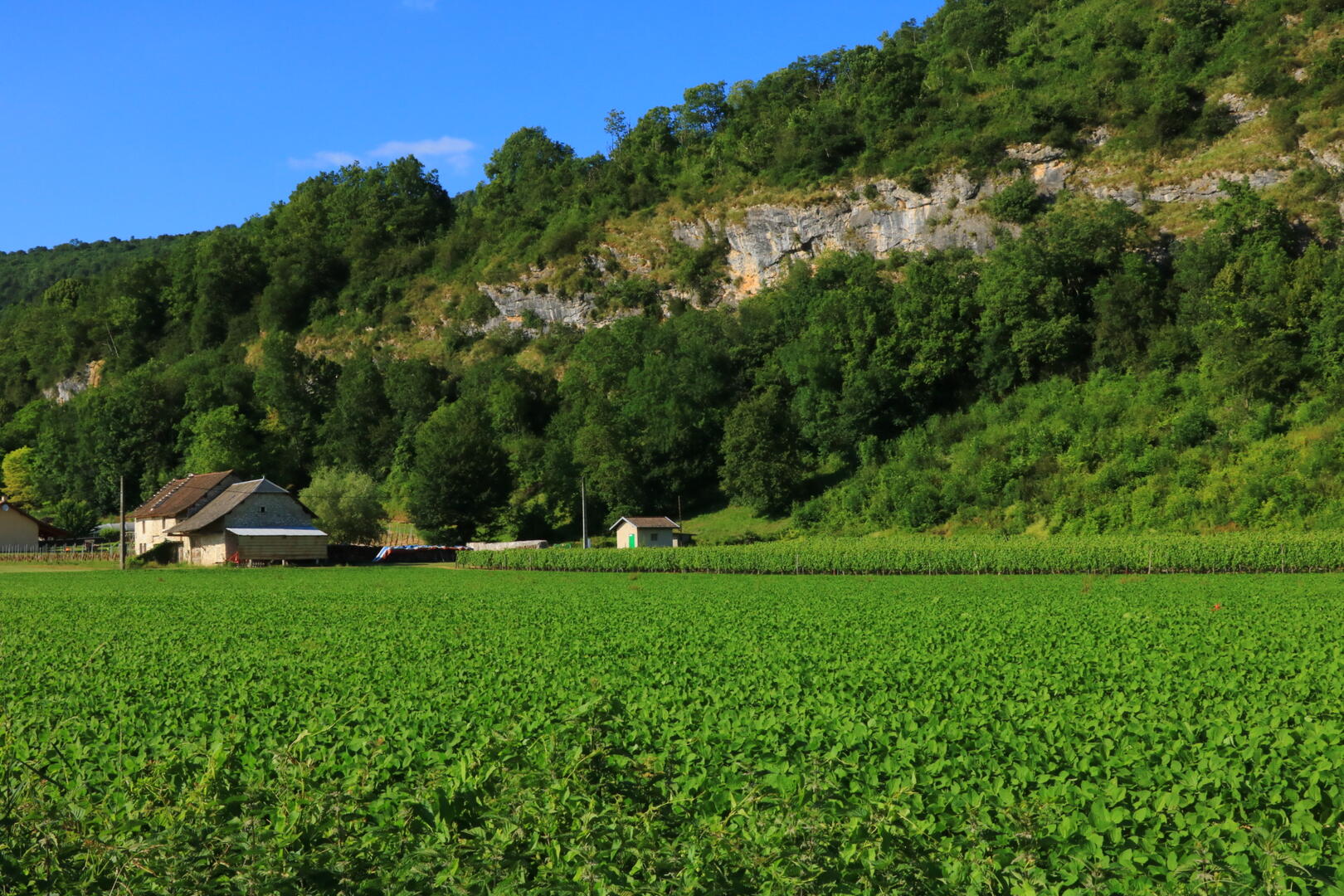 Circuit de randonnée : La montagne de Saint Benoit