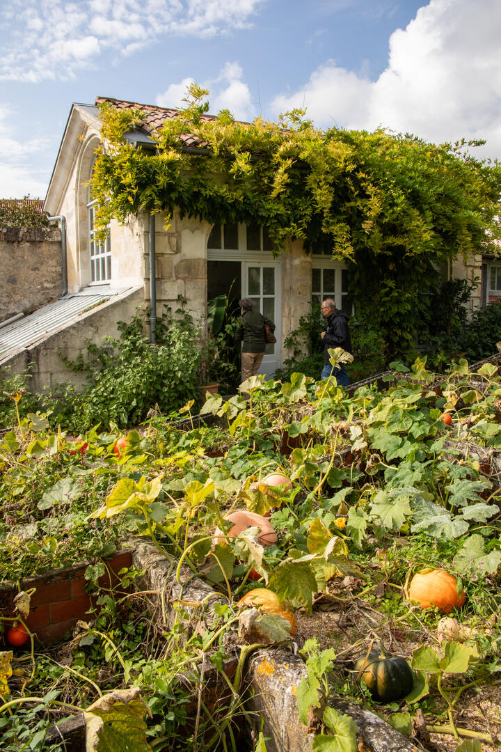 Rendez-vous aux jardins : Le potager du Roy_Rochefort