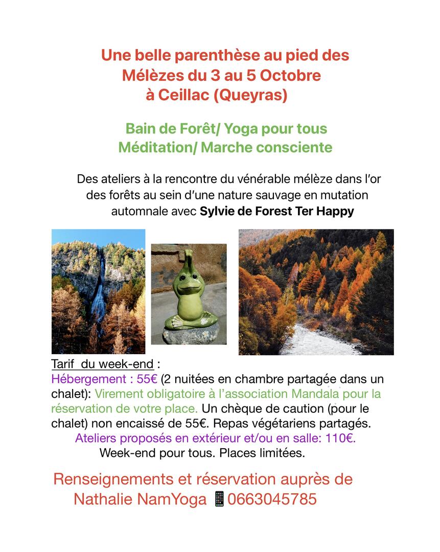 Parenthèse au pied des mélèzes_Ceillac