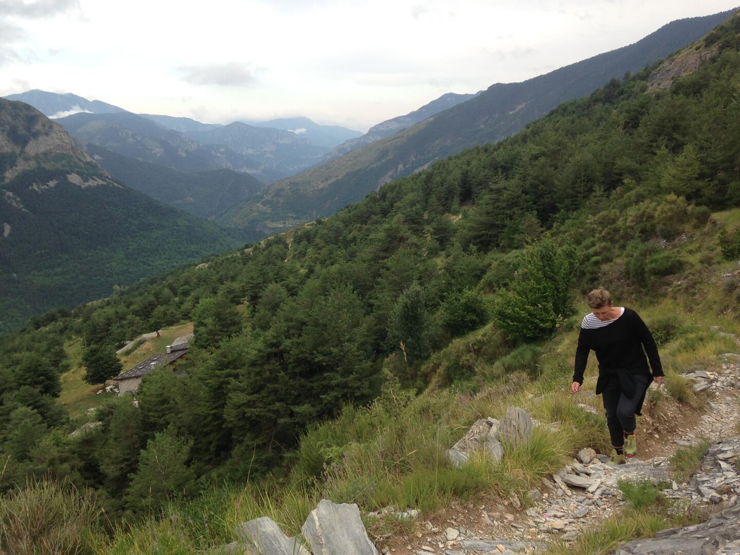 environnement