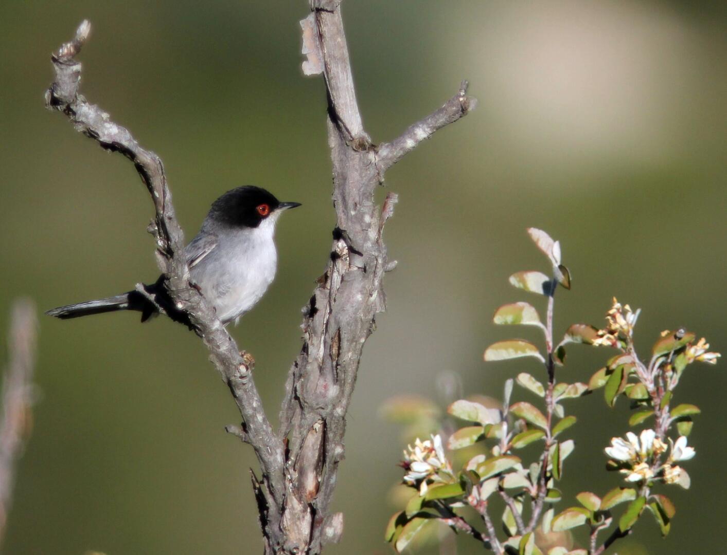 Exposition "Agriculture et biodiersité" Ligue de protection des oiseaux_Apt