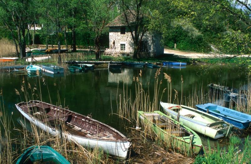 Pêche au lac de Barterand - AAPPMA du Bas Bugey