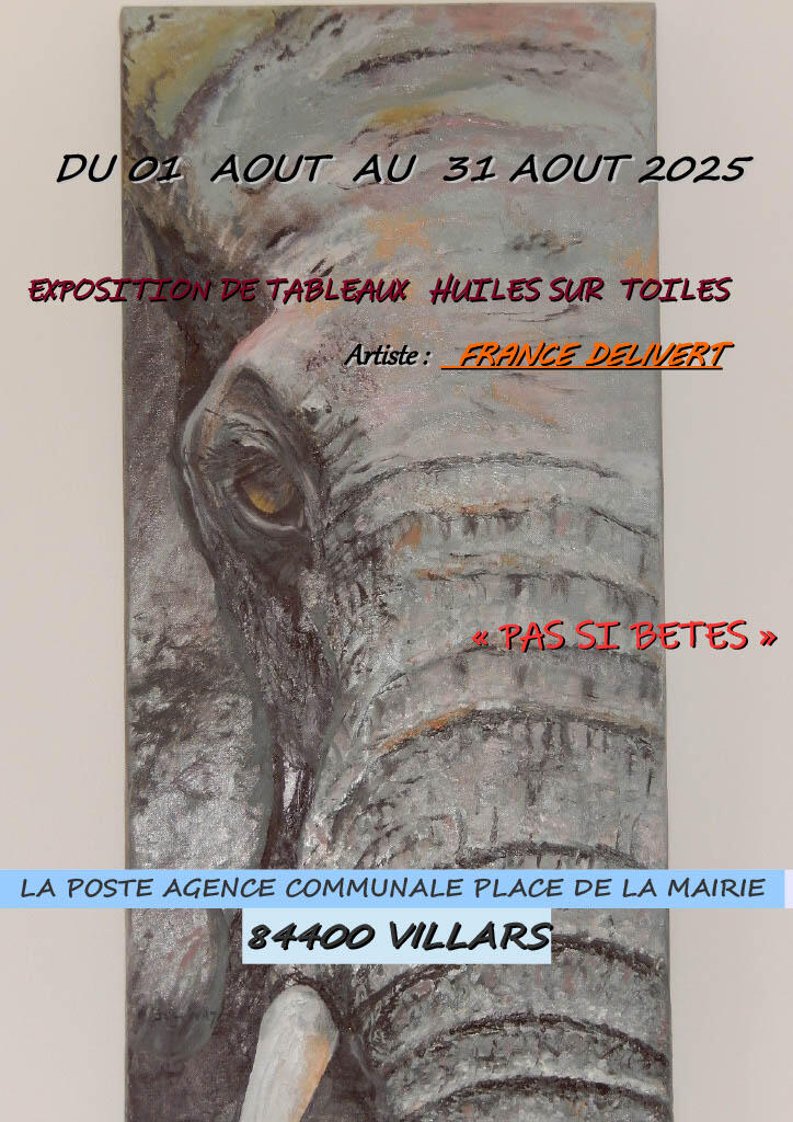 affiche villars
