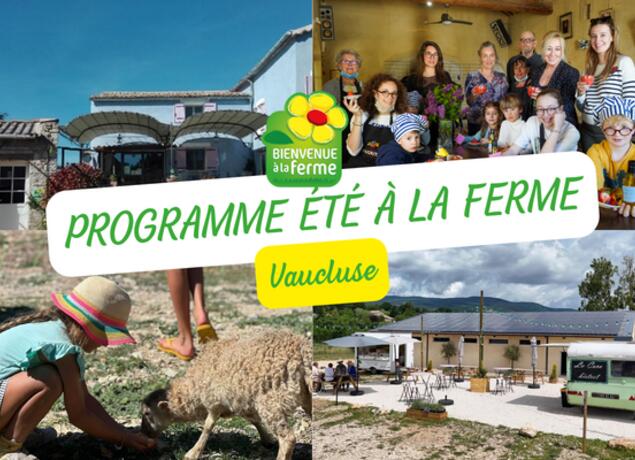 Festival de comédies d'Alloïs_Caseneuve