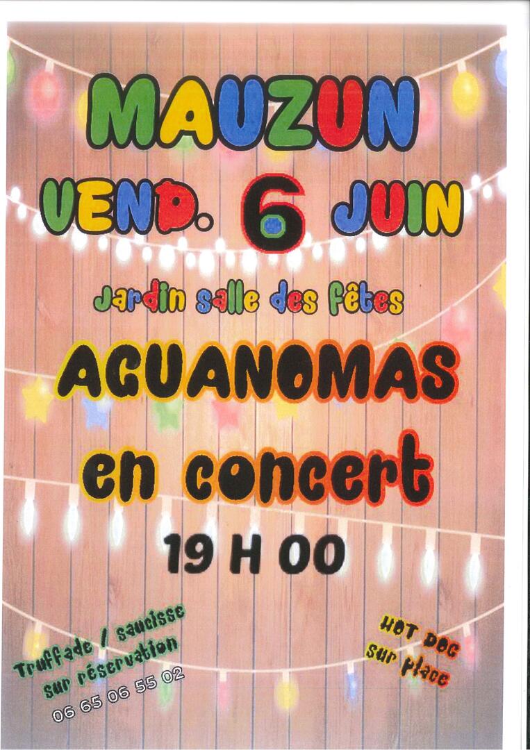 Concert_Mauzun