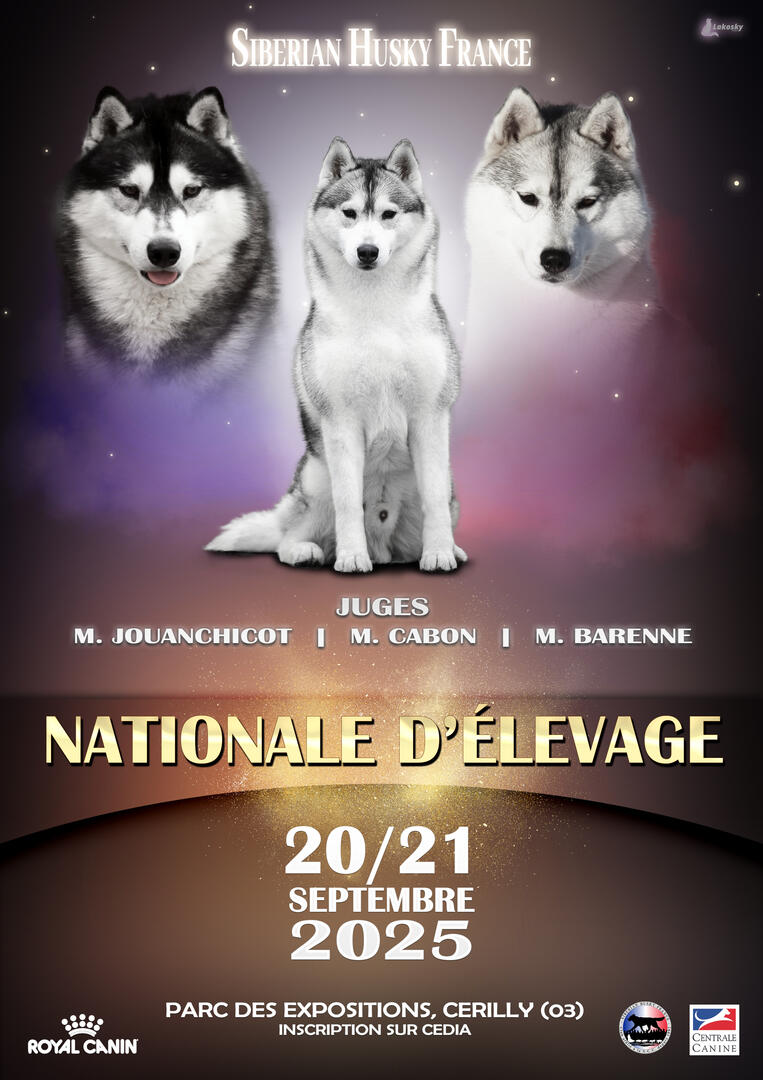 Nationale d'élevage du Husky Sibérien_Cérilly