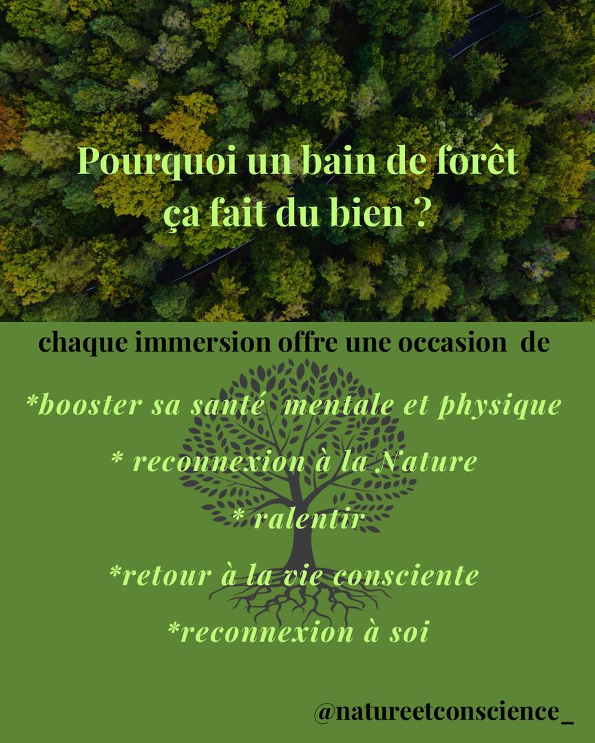 Bénéfices d'un bain de forêt