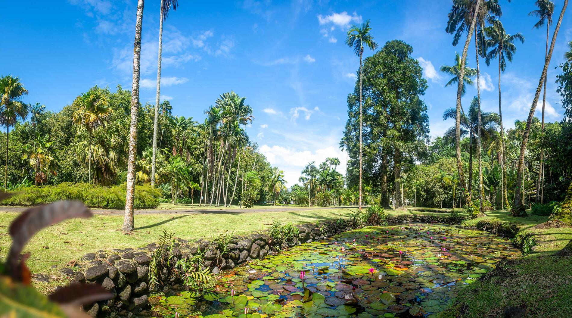 Jardin Botanique Harrison Smith - Tahiti Tourisme