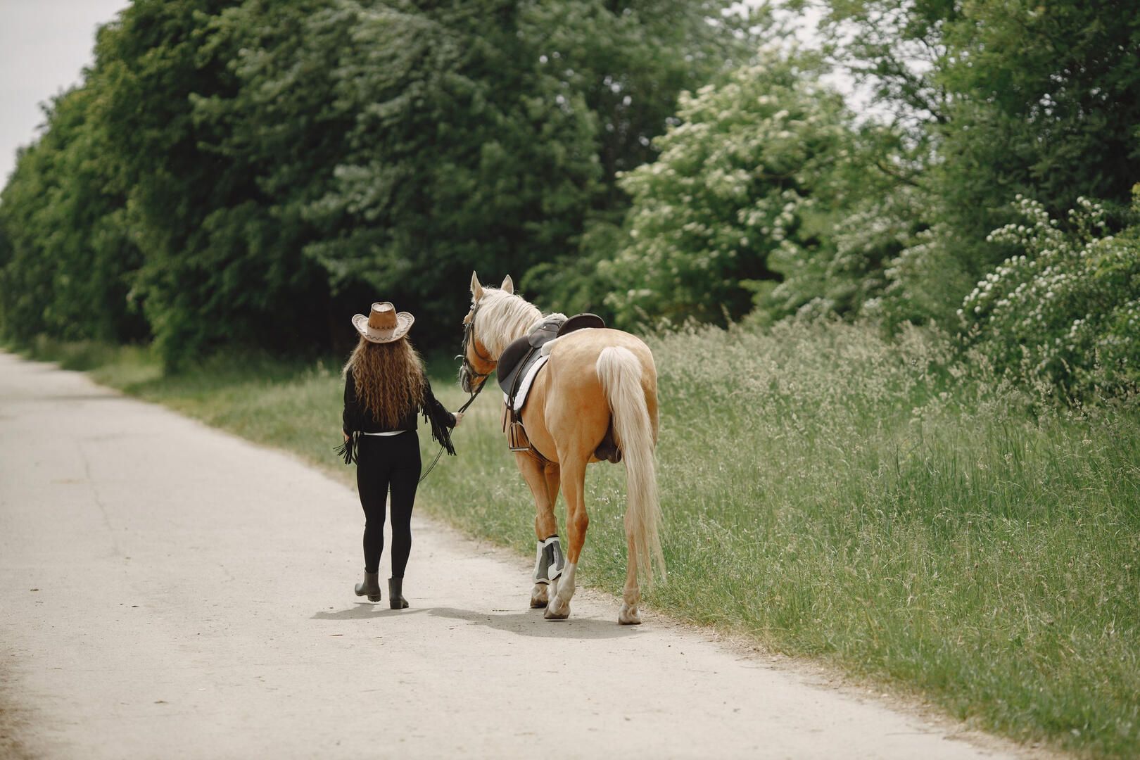 Le poney vert_Lézat-sur-Lèze