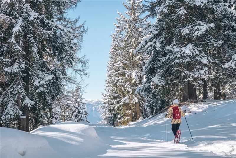 Boucle découverte du Plateau de la Ramée_Le Collet