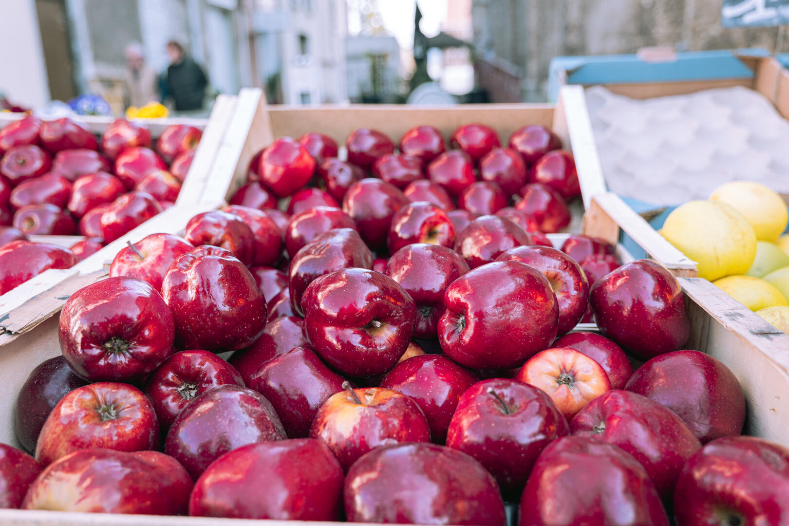Marché à Brignoud_Villard-Bonnot