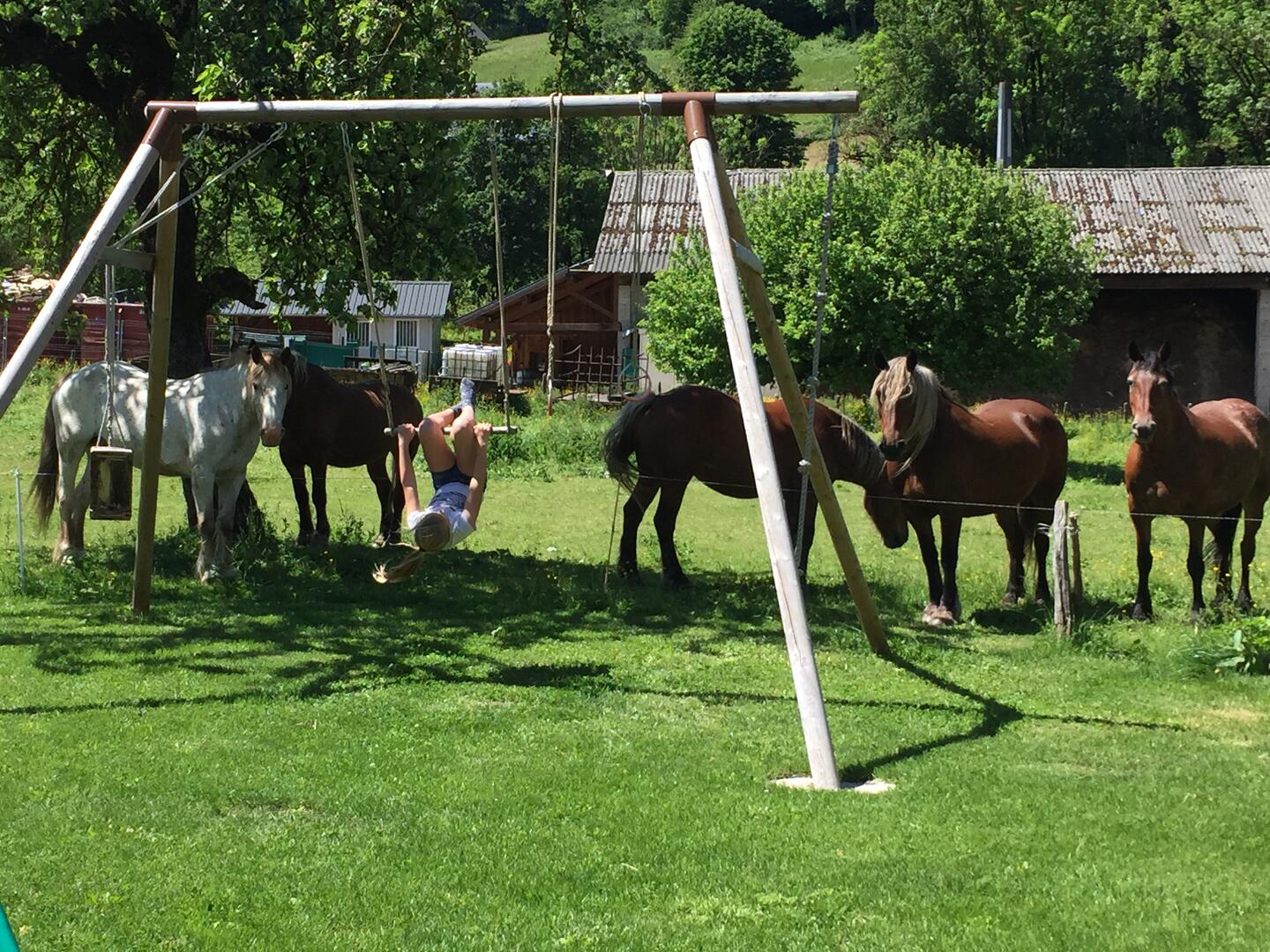 La Ferme du Reset - St Pierre d'Entremont