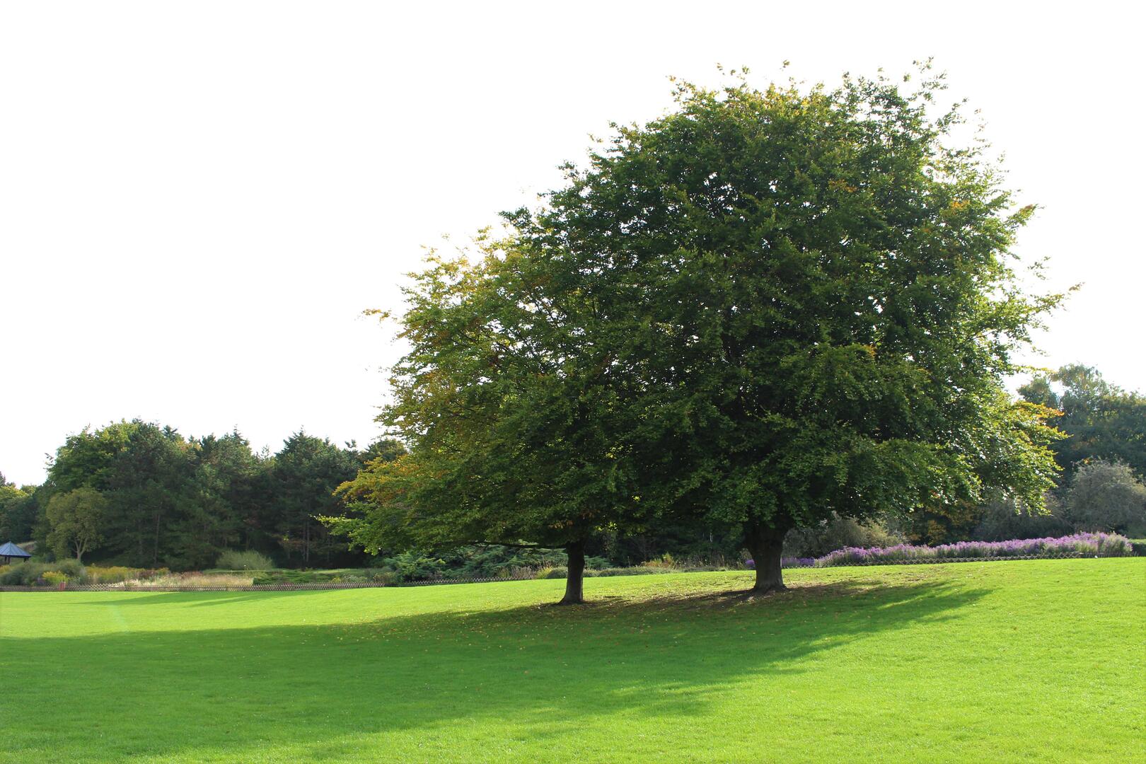 Parc Georges Valbon