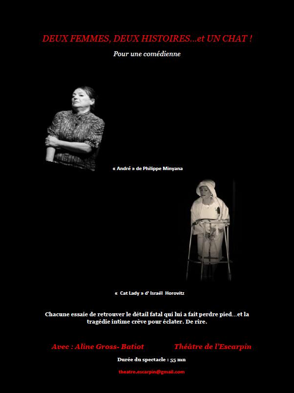 Deux femmes, deux histoires... et un chat