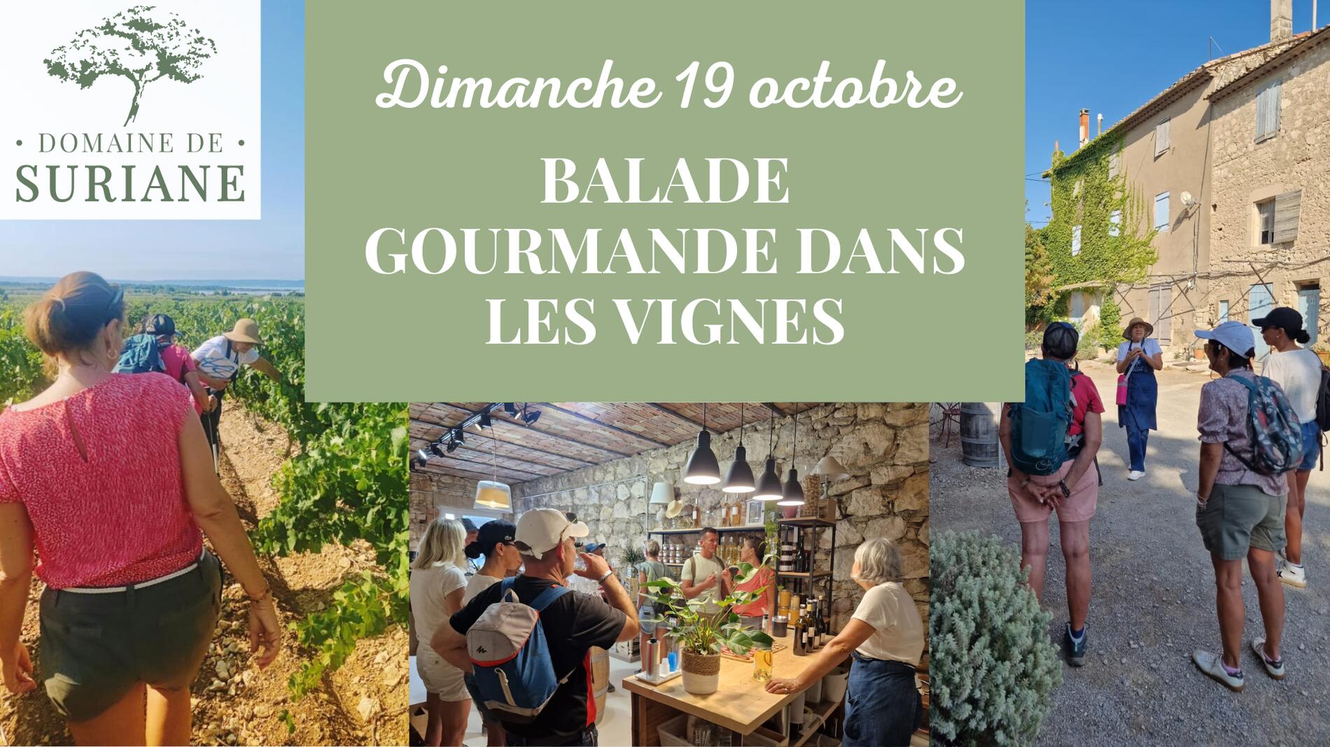 Balade dans les vignes et dégustation gourmande au Domaine de Suriane_Saint-Chamas