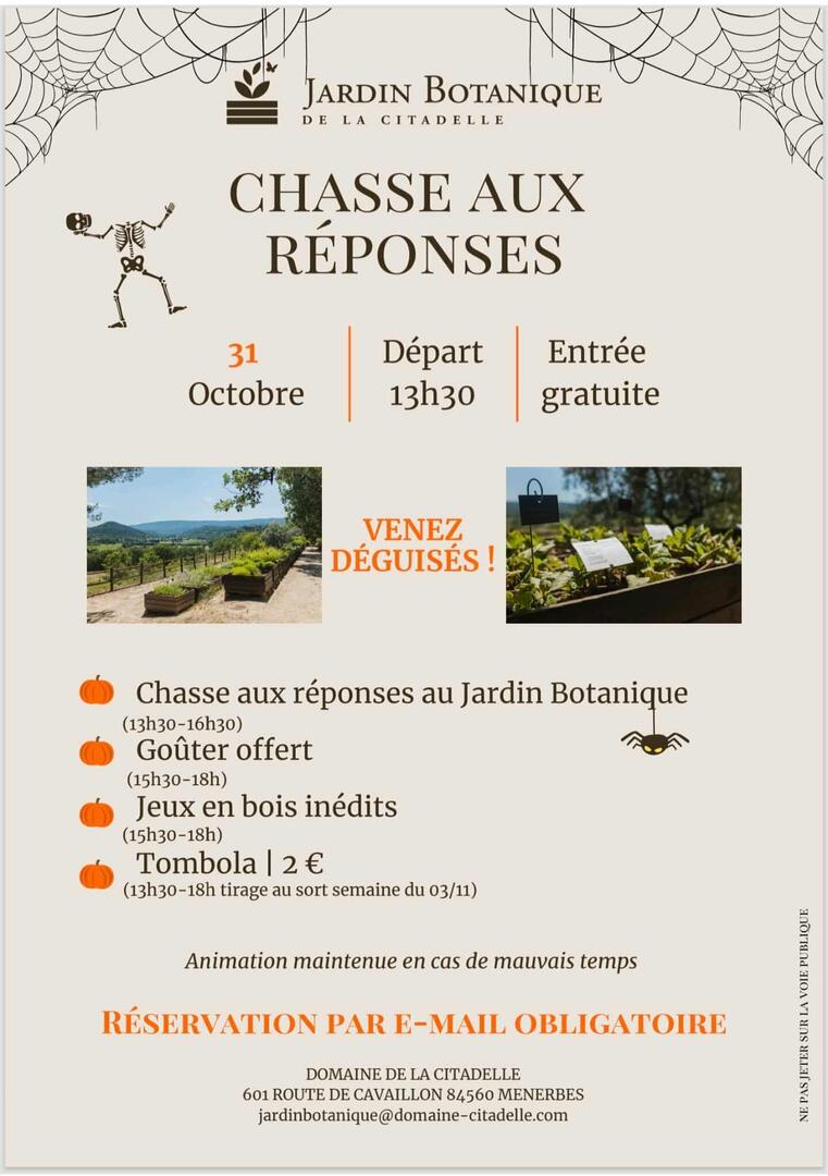 Chasse aux réponses_Ménerbes