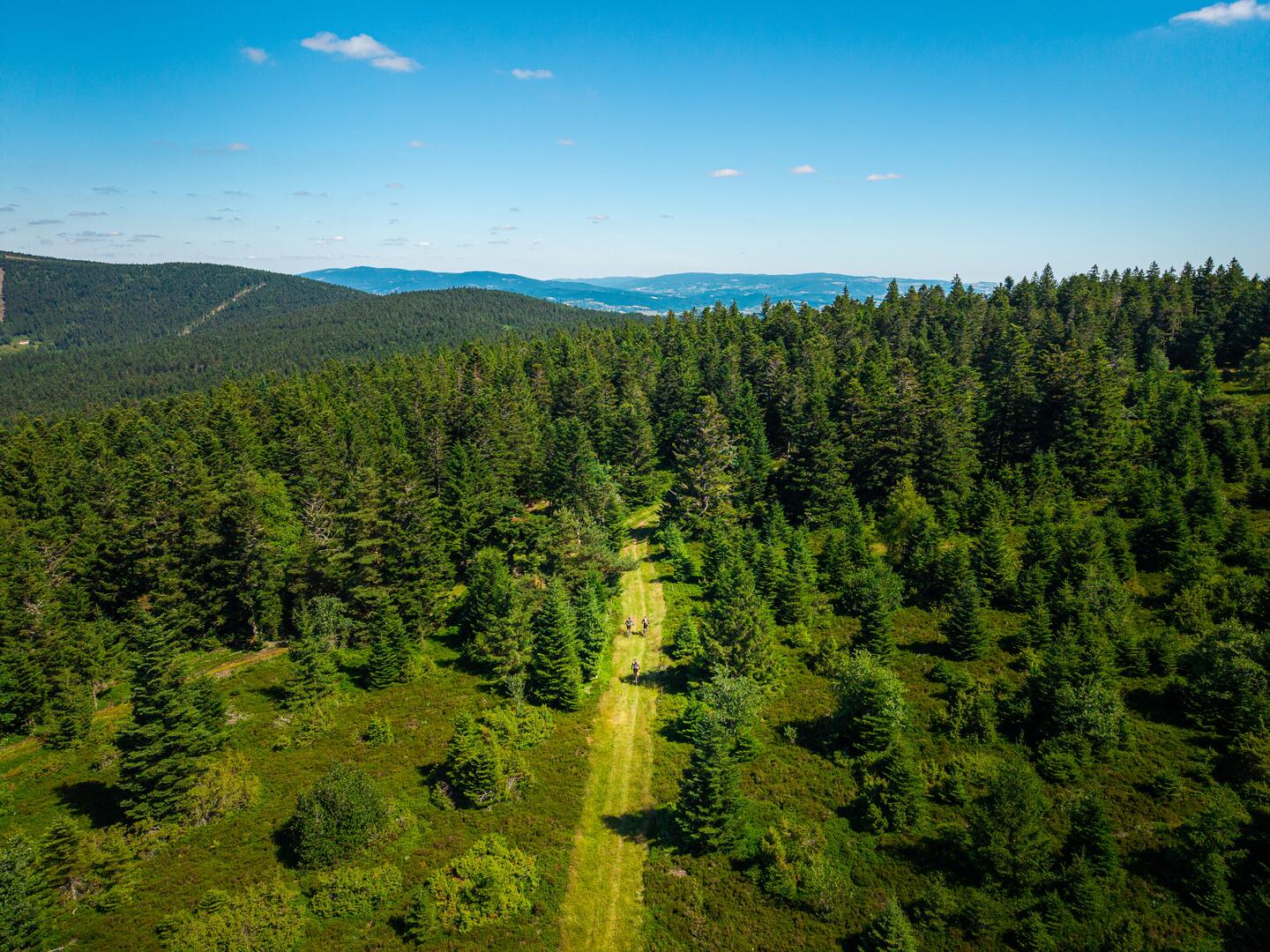 N°79 - Col de la  Loge - circuit enduro - Espace VTT-FFC Massif des Bois Noirs_La Chambonie