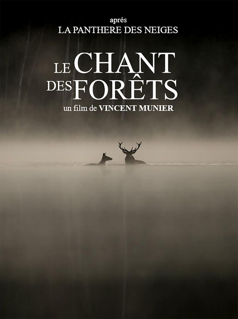 Le chant des forêts
