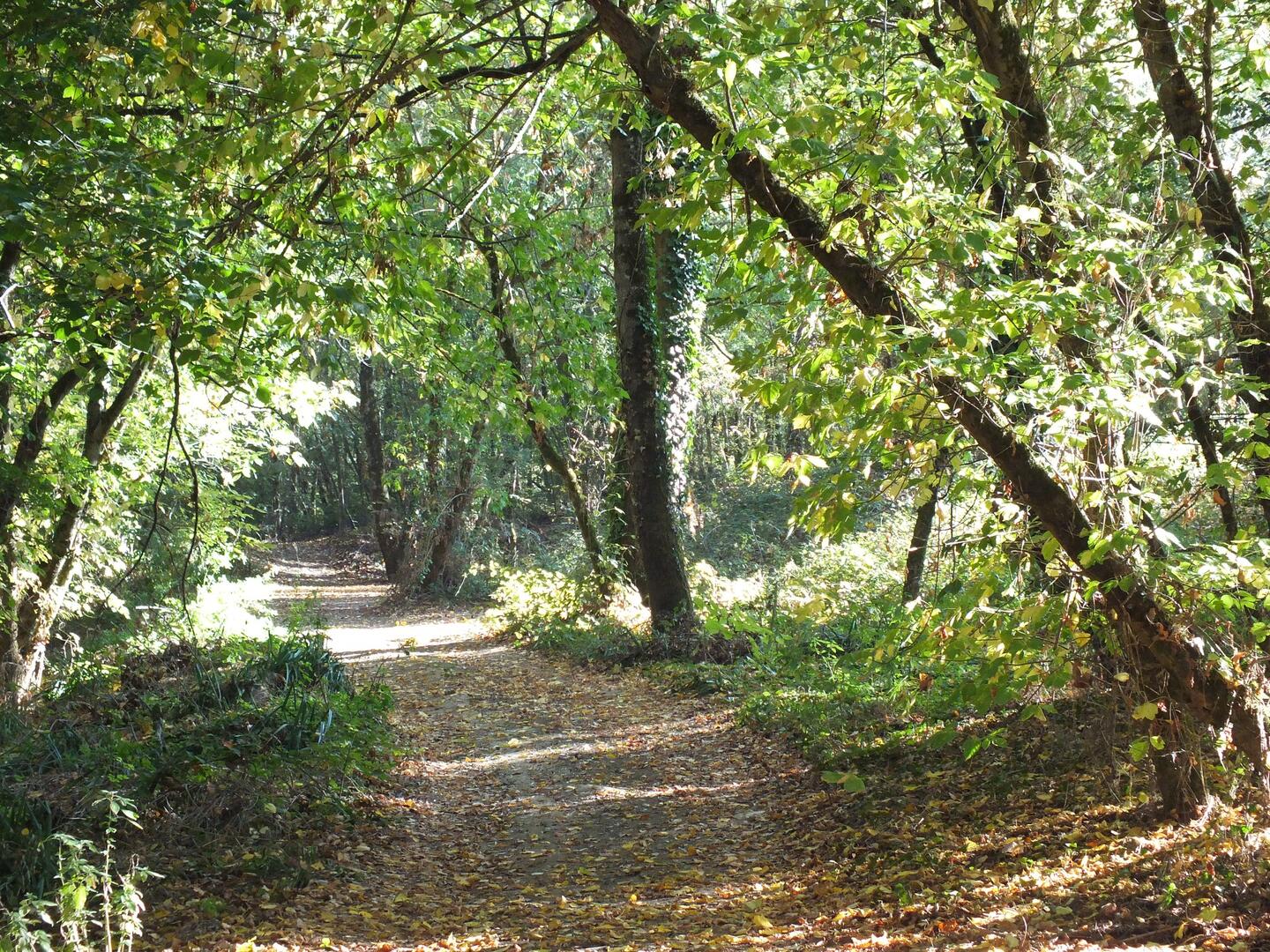 Secrets de Garonne : Le nouveau sentier découverte_Saint-Loup
