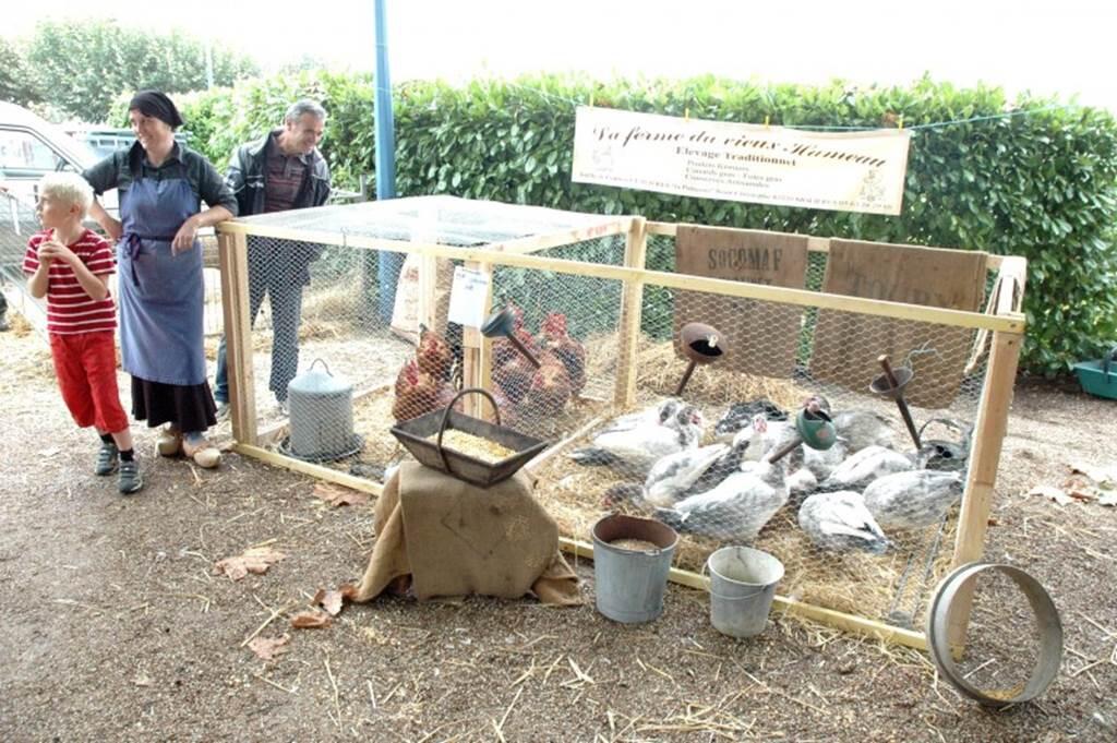 ferme