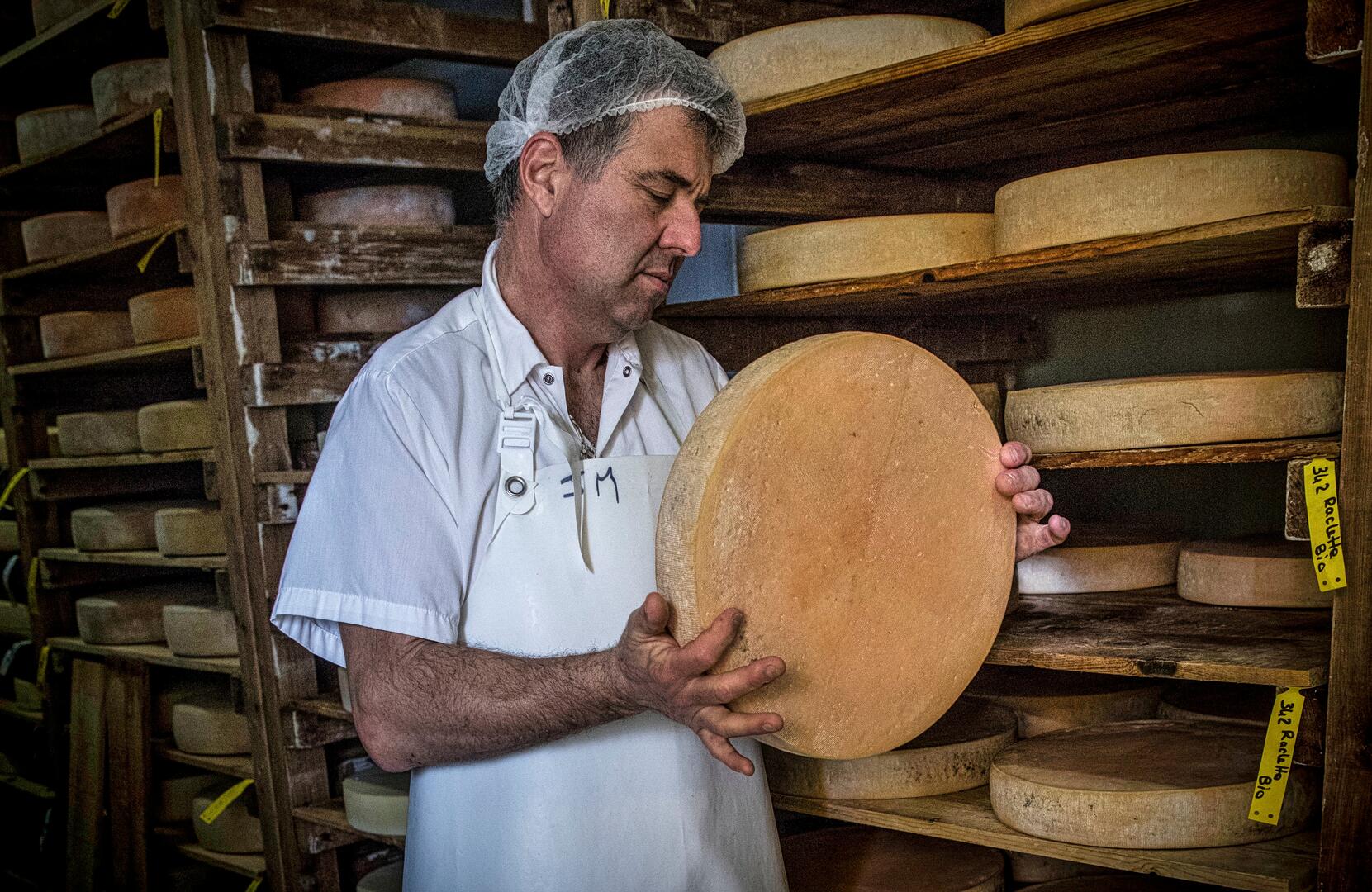 Laiterie du Col Bayard_Laye