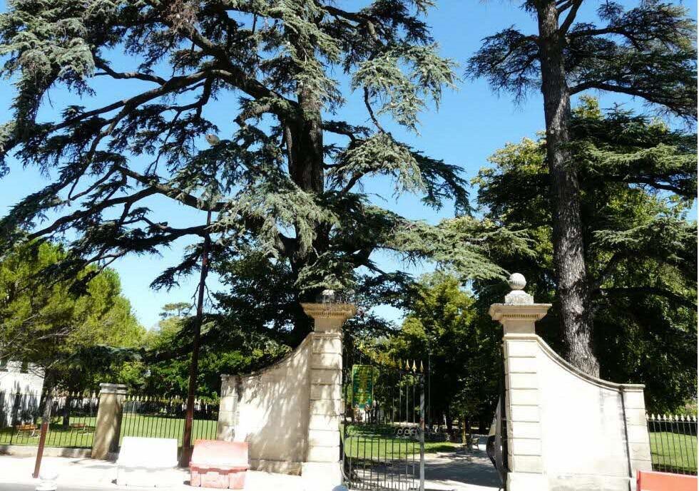 Parc de la Cantonne