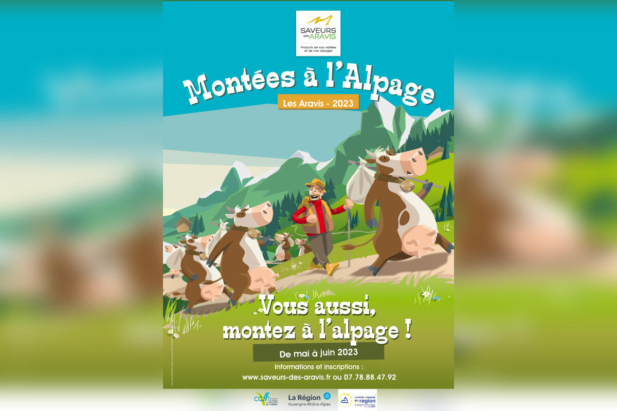 Affiche