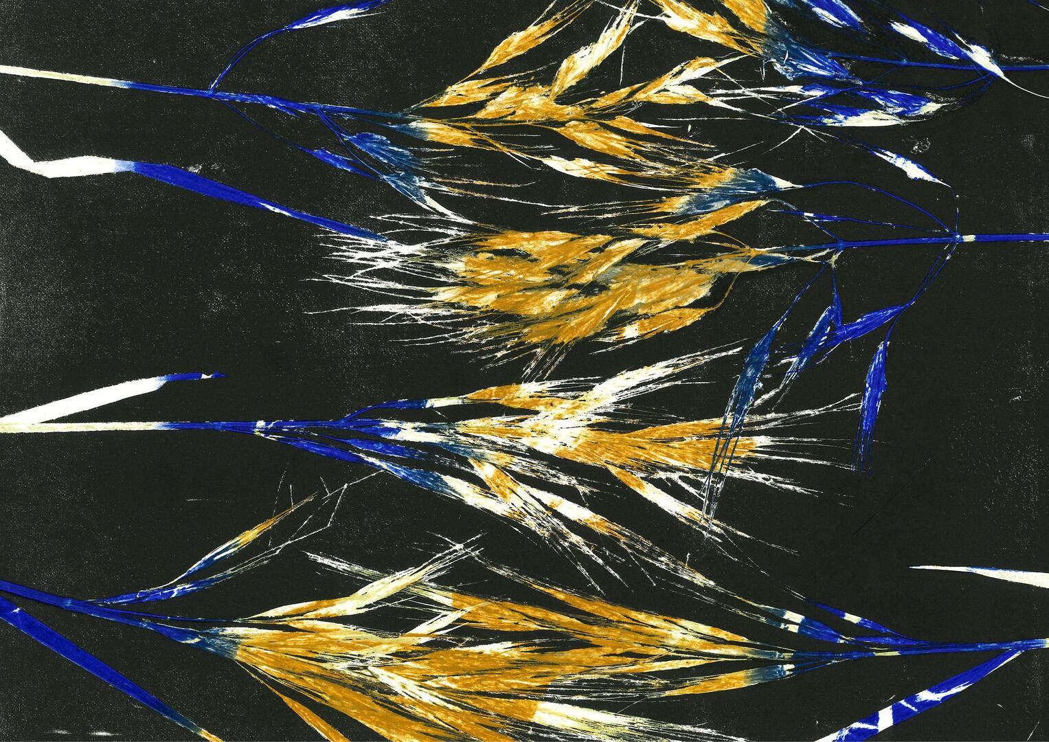 Exposition : Lignes, tiges et dessins d'herbes - Diane Etienne_Saint-Martin-d'Uriage