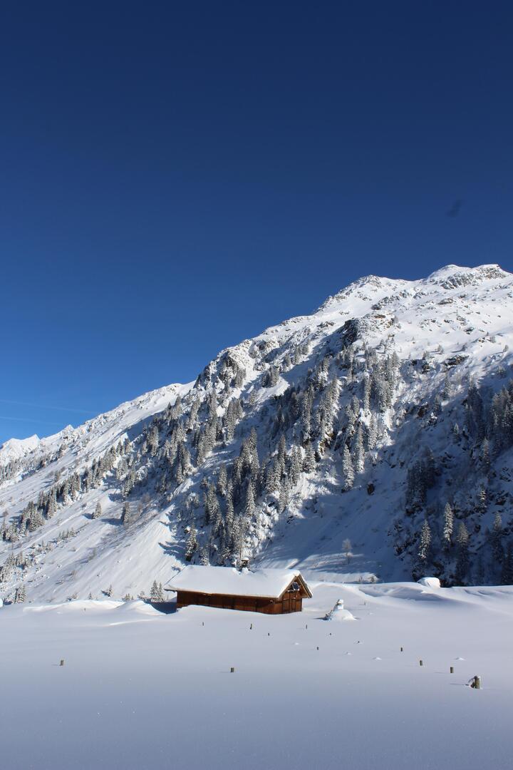 Alpages et zones humides_Les Contamines-Montjoie