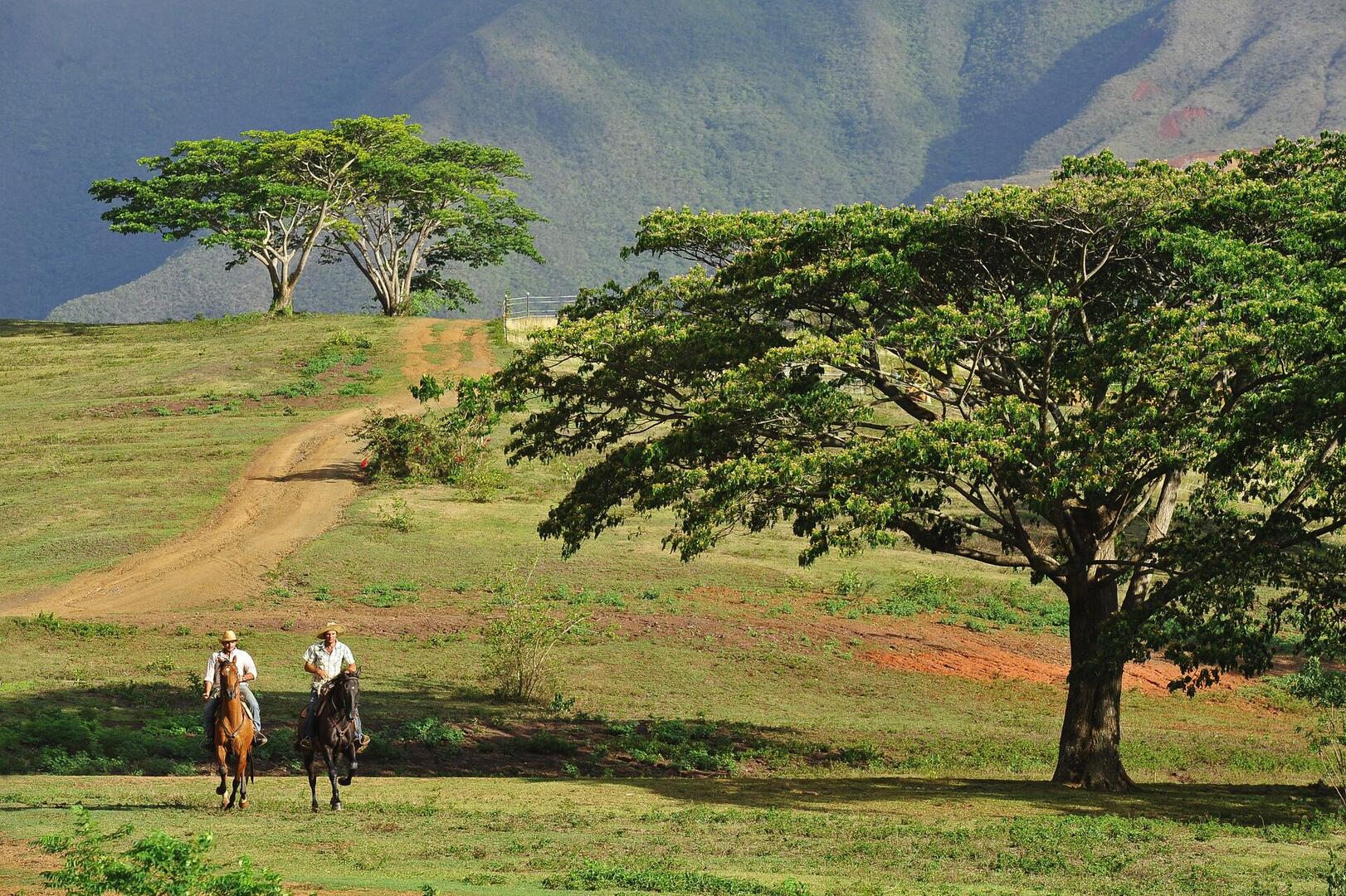 Yala Ranch (Dumbéa) | New Caledonia Tourism: The official website for ...