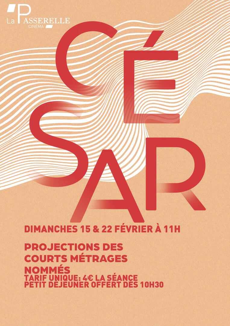 Projections des courts métrages