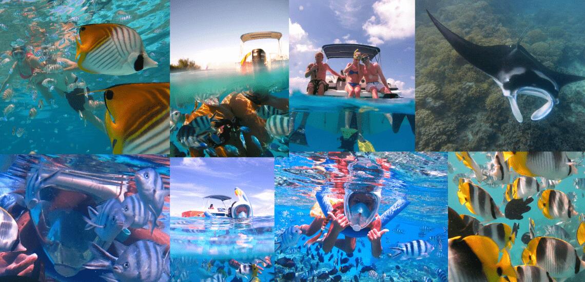 Nemo Snorkeling - Tahiti Tourisme