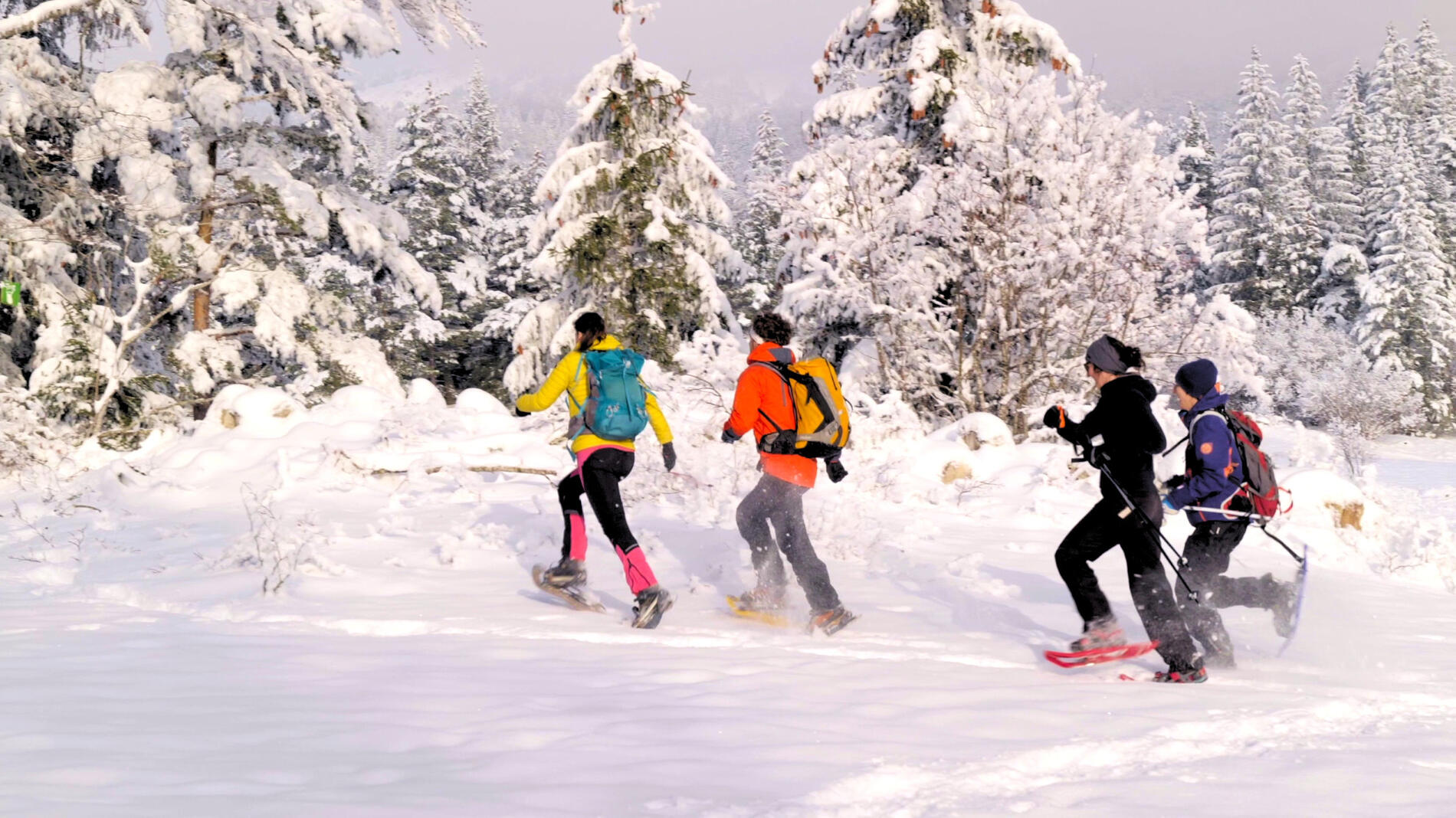 Team Building ESI_Les Deux Alpes