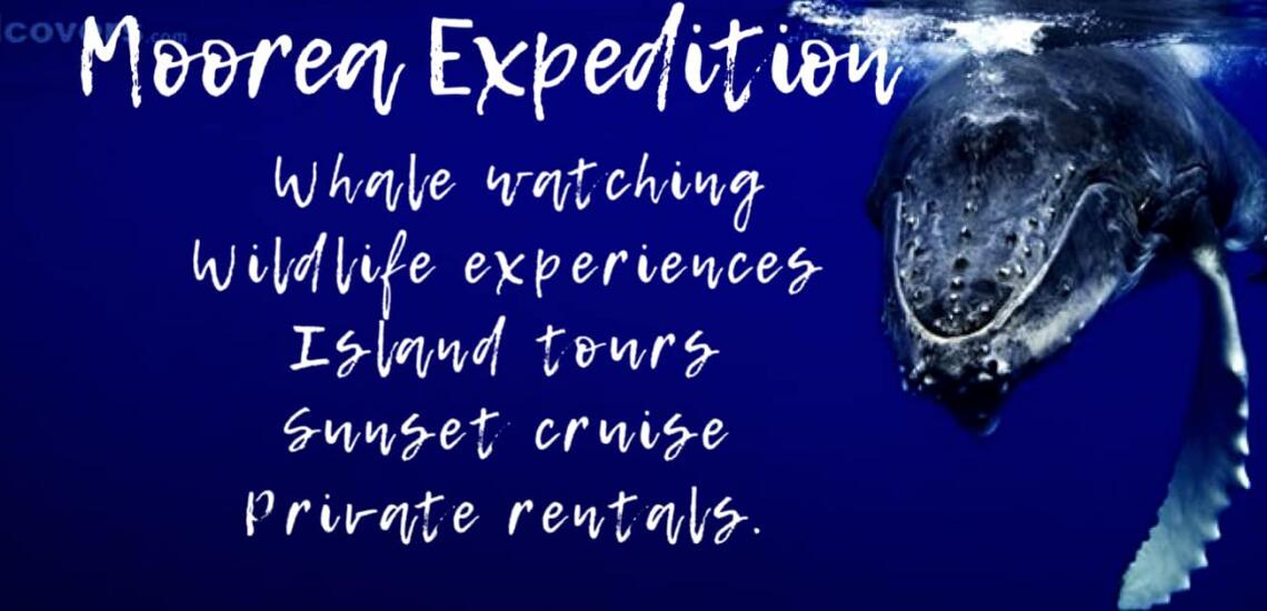 Moorea Expedition - Tahiti Tourisme