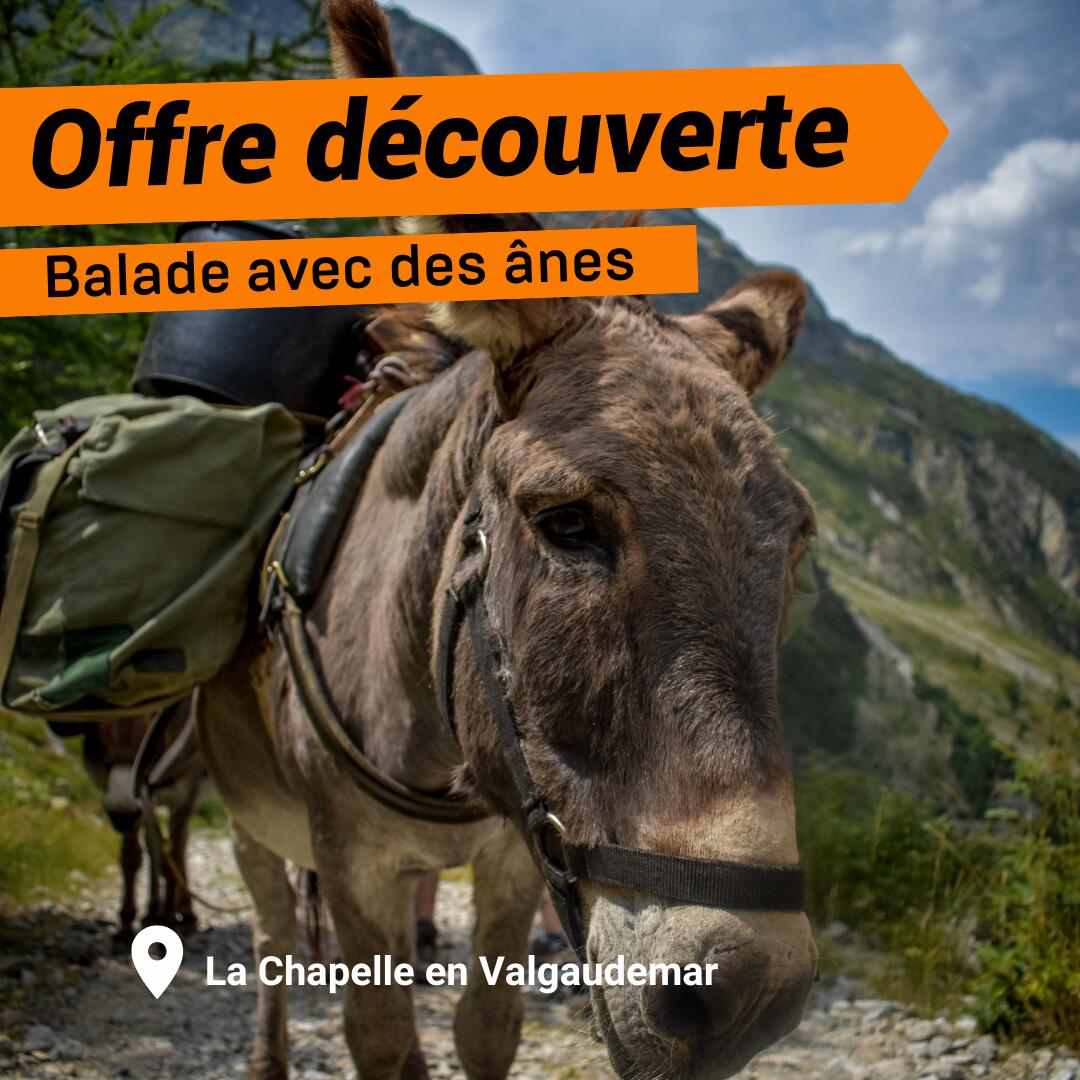 Offre découverte