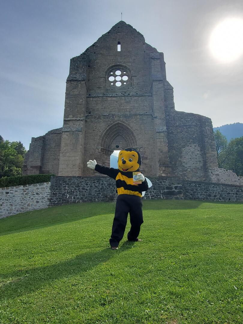 Fête du Miel et de l'Abeille