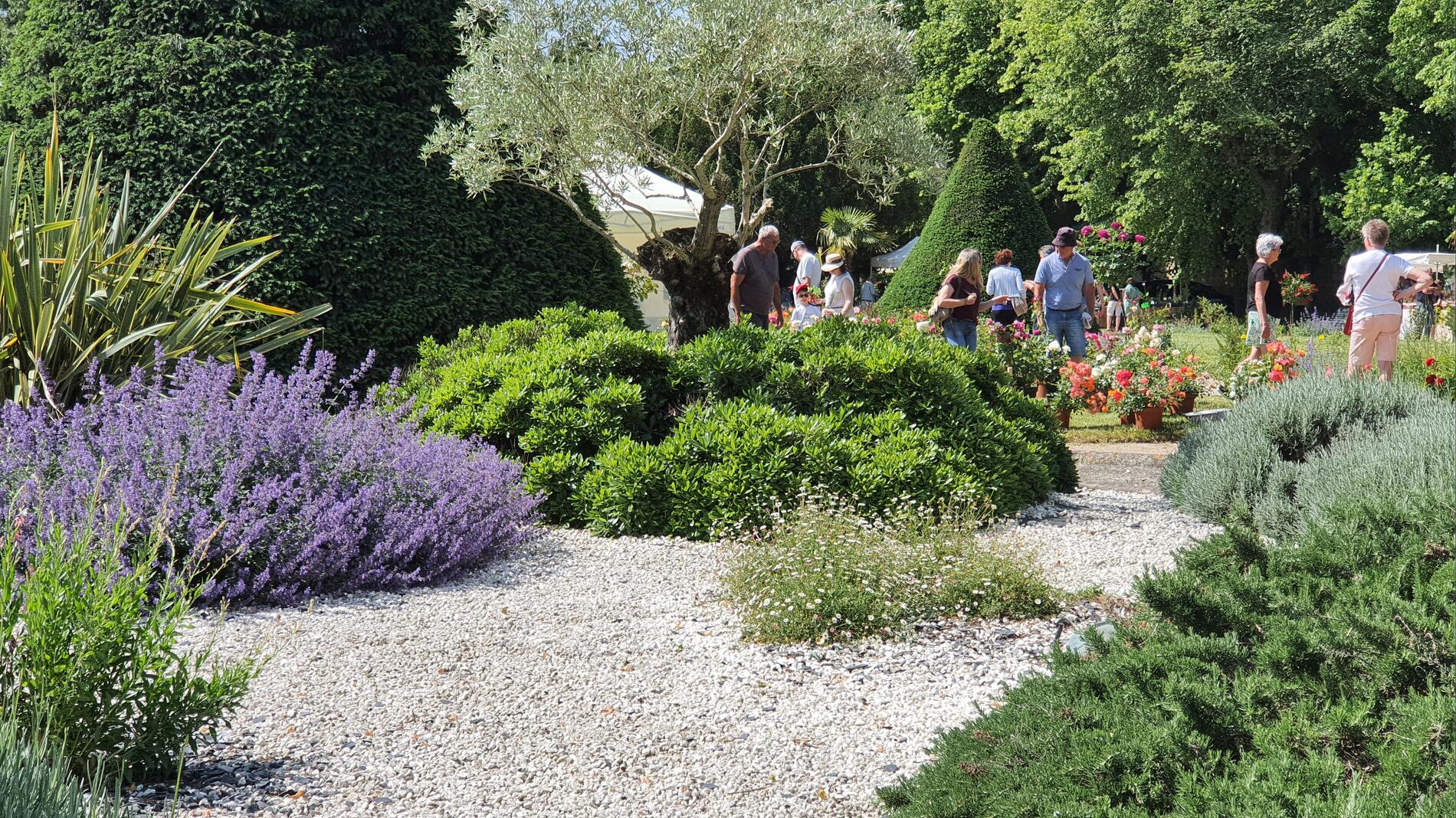 Une journée au jardin_Rochefort