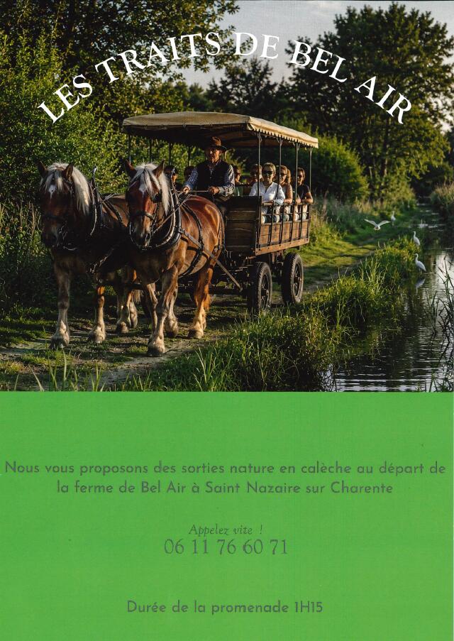 Les traits de Bel Air : sortie nature en calèche_Saint-Nazaire-sur-Charente