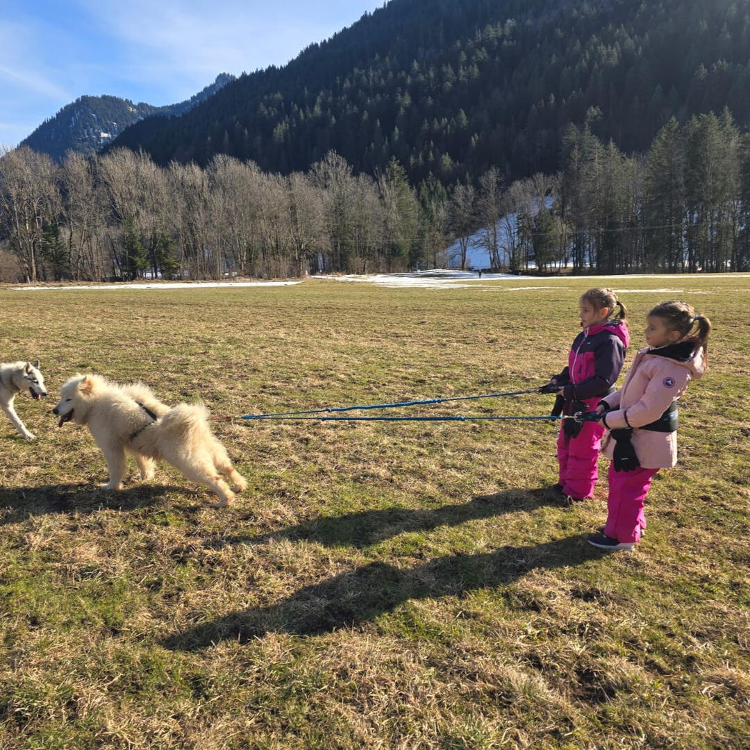 Cani-randonnée_La Chapelle-d'Abondance