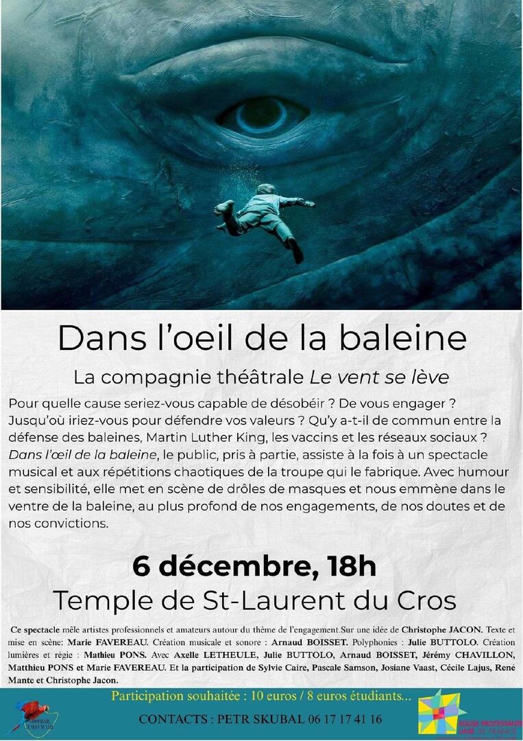 Dans l'œil de la baleine