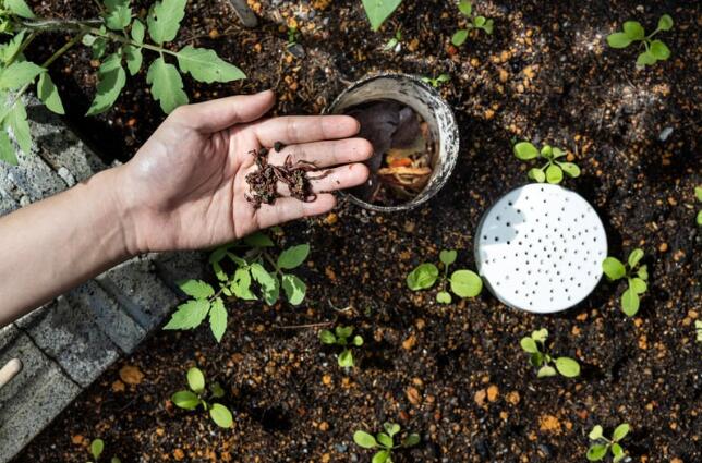 La vie du potager_Ceyzérieu
