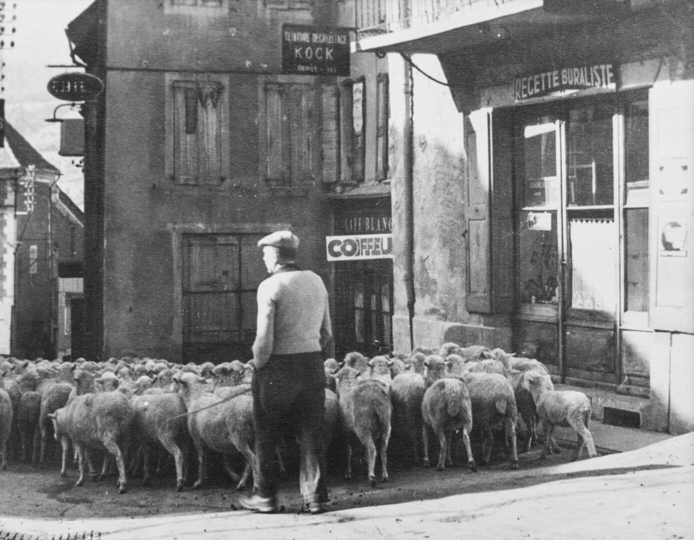 Visite guidée du circuit Vivian Maier de Saint-Bonnet