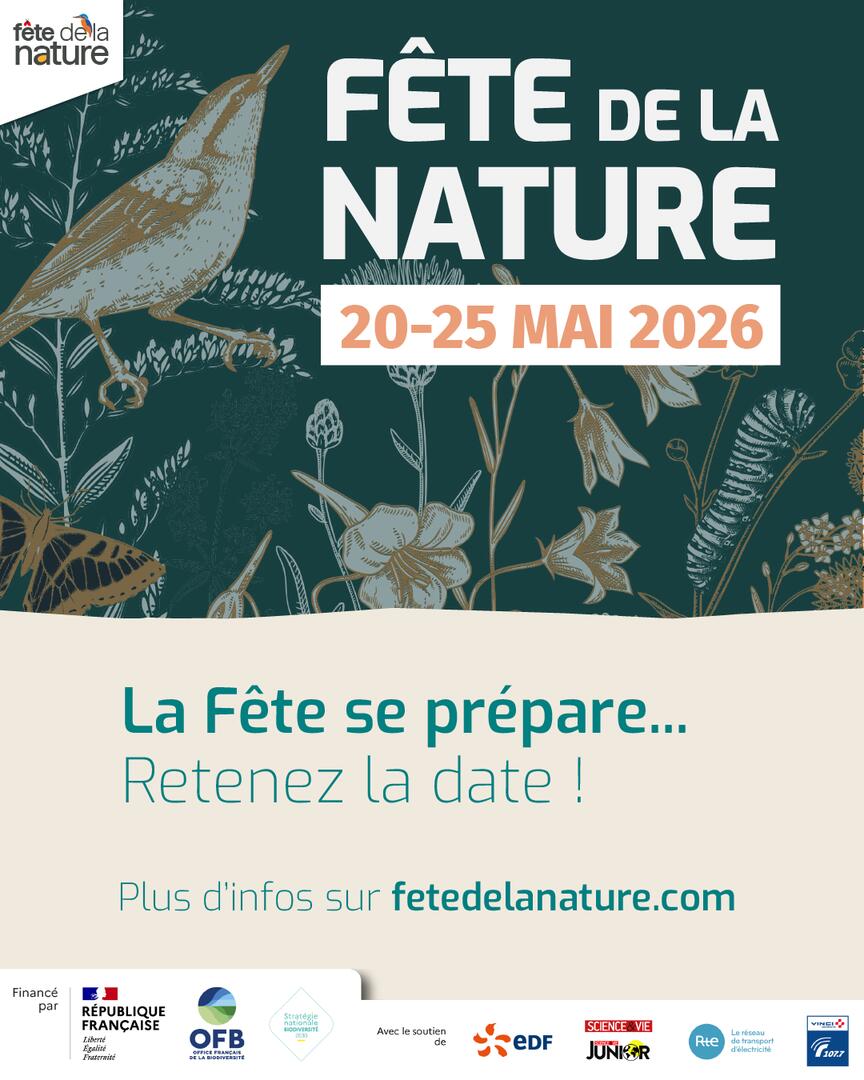 Fête de la nature : Atelier cueillette et cuisine de plantes sauvages_Le Noyer
