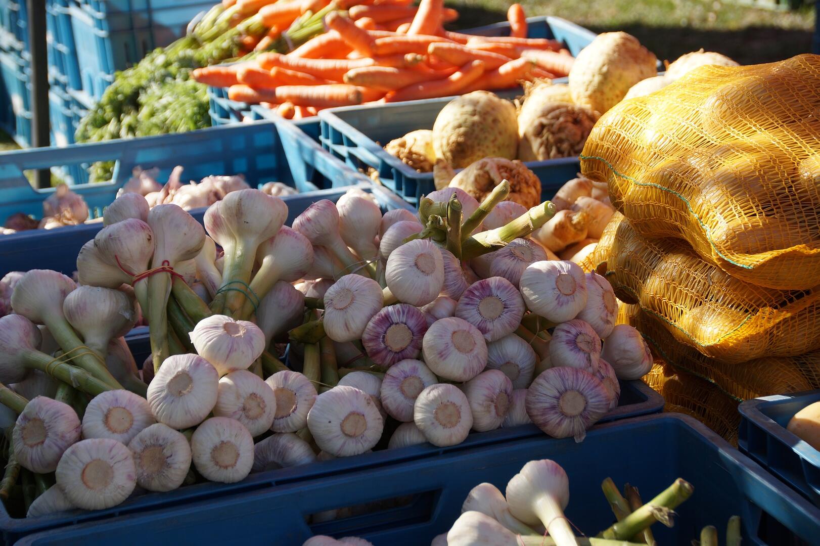 Marché producteurs