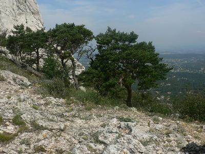 Chaine de l'Etoile