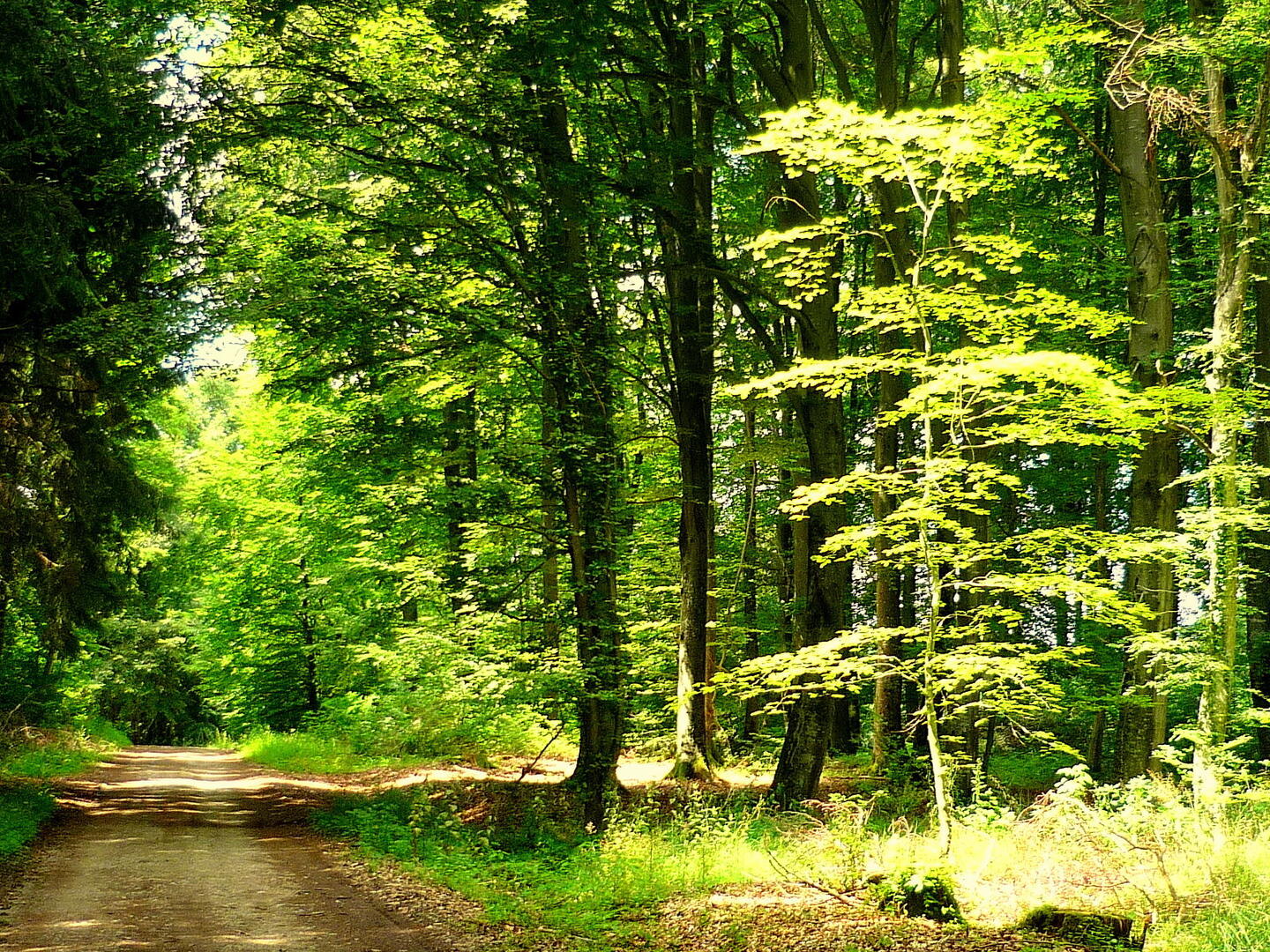 Nature