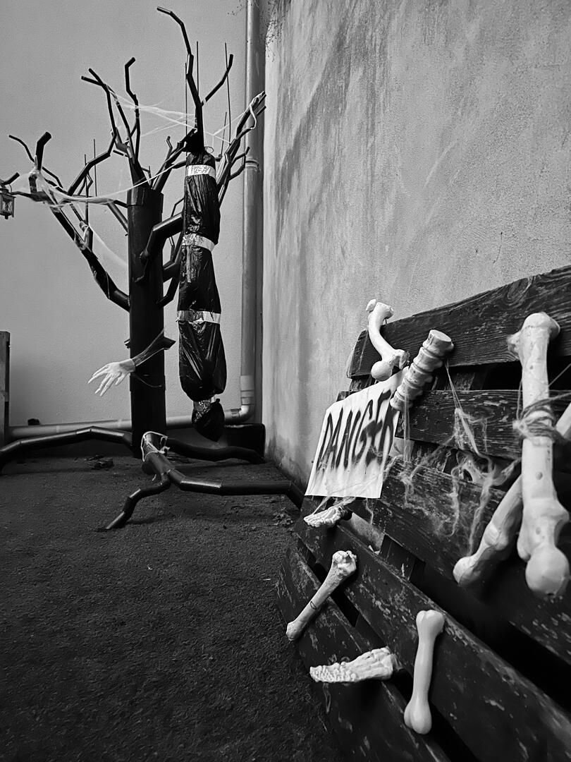 Halloween Party : oserez-vous entrer dans le manoir?_Castelsarrasin