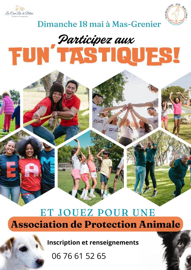 Les Fun'tastiques