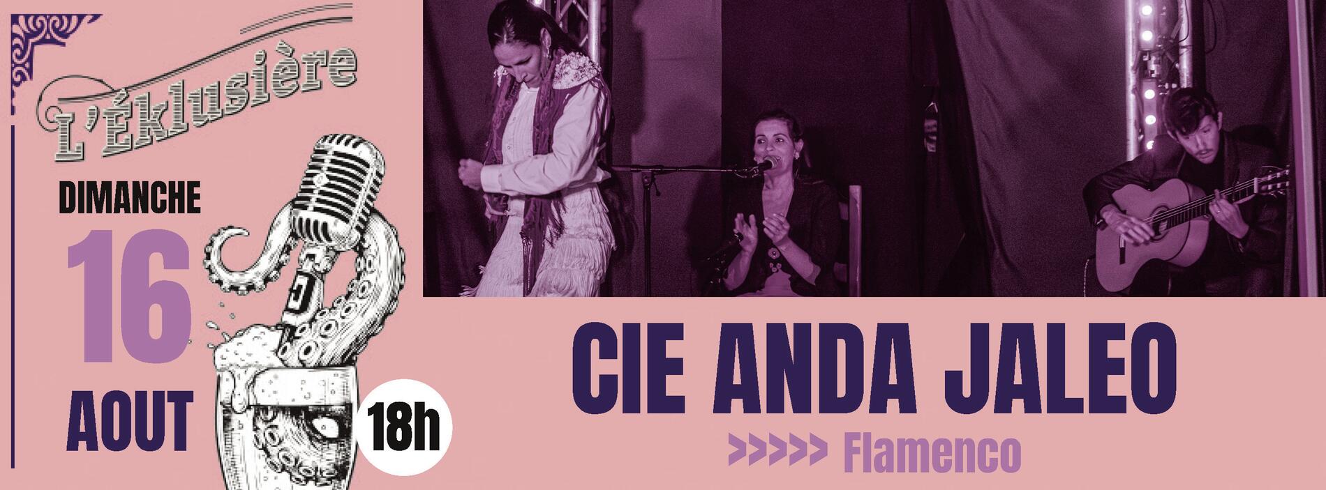 Concert Cie Anda Jaleo - Flamenco_Parcieux