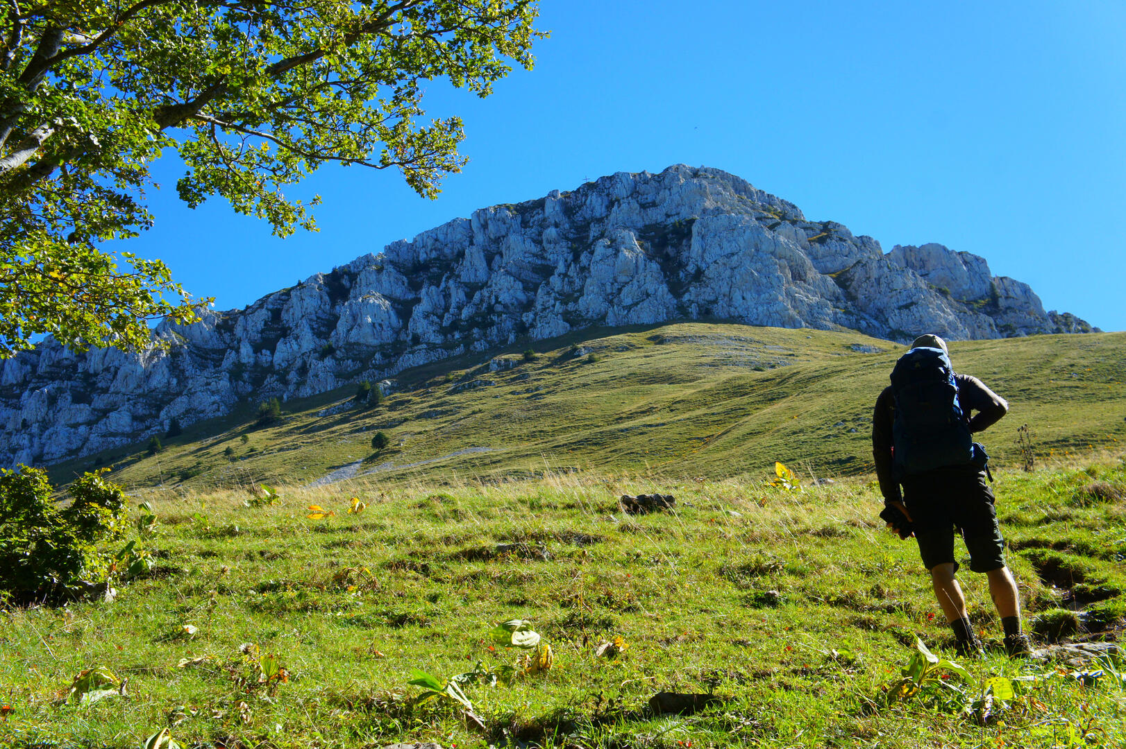 L’alpage de la Grande Sure_Pommiers-la-Placette